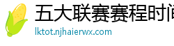 五大联赛赛程时间表2024年